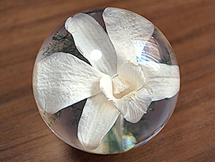 Paperweight (Light Orchid)