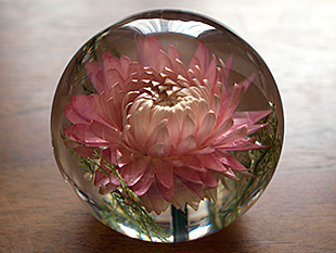 Paperweight (sNwNT)